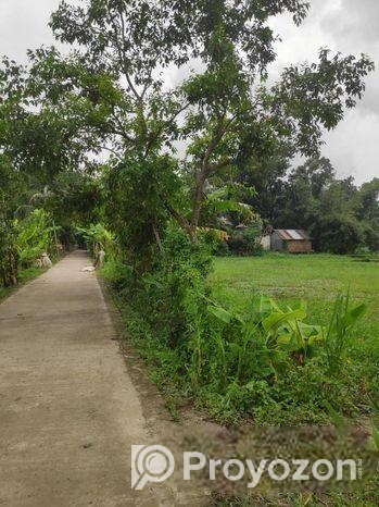 জমিন বিক্রি করা হবে।