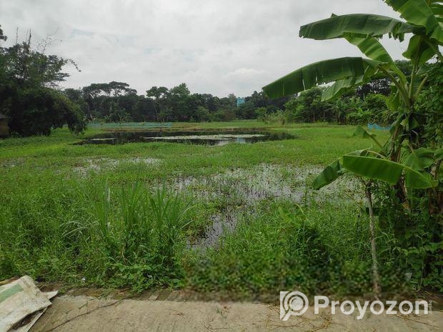 জমিন বিক্রি করা হবে।