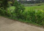 জমিন বিক্রি করা হবে।
