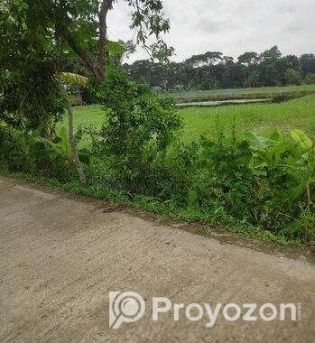 জমিন বিক্রি করা হবে।