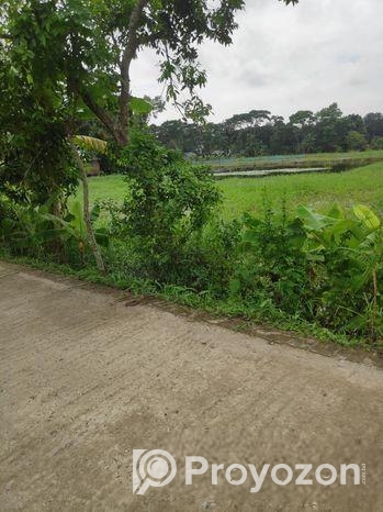 জমিন বিক্রি করা হবে।