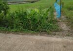 জমিন বিক্রি করা হবে।