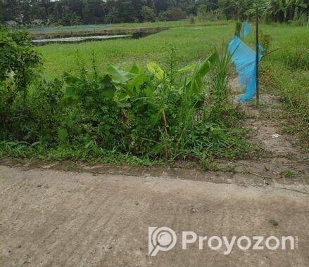 জমিন বিক্রি করা হবে।