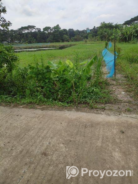 জমিন বিক্রি করা হবে।