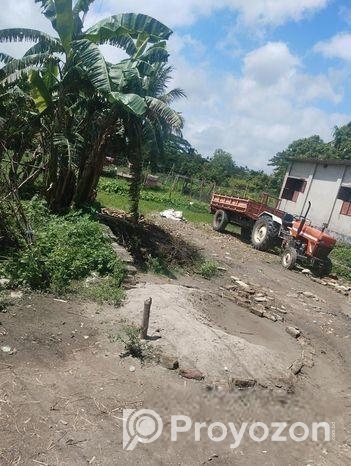 ৪ শতাংশ জমি বিক্রি করা হবে