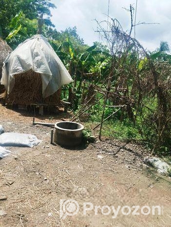 ৪ শতাংশ জমি বিক্রি করা হবে