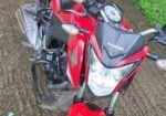 Honda Hornet 2019