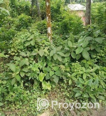 এখনই বাড়ি করার উপযোগী জমি বিক্রয়