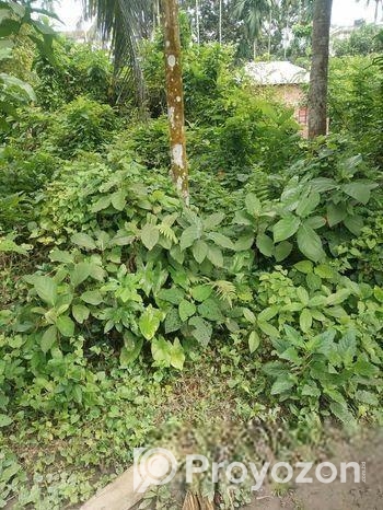 এখনই বাড়ি করার উপযোগী জমি বিক্রয়