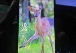 Samsung Galaxy A15 নতুন মতো আছে (Used)