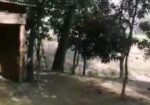 বাড়ি নির্মাণ করার মতো জায়গা। land sale