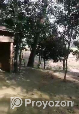 বাড়ি নির্মাণ করার মতো জায়গা। land sale