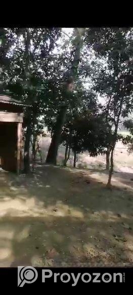 বাড়ি নির্মাণ করার মতো জায়গা। land sale