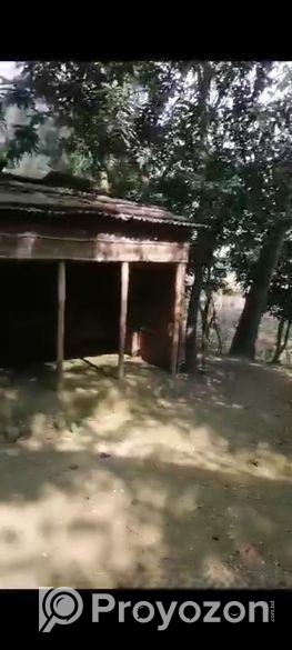 বাড়ি নির্মাণ করার মতো জায়গা। land sale