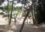 বাড়ি নির্মাণ করার মতো জায়গা। land sale