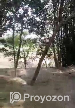 বাড়ি নির্মাণ করার মতো জায়গা। land sale