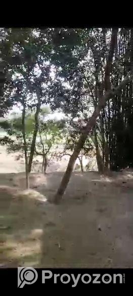 বাড়ি নির্মাণ করার মতো জায়গা। land sale