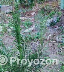 fitted-2025-09-27T102816.646_2025-09-27_10-28-47