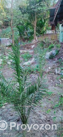 1000 Decimal Jomi Bikroy