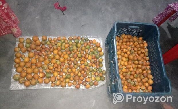১ কুড়ি দেশি গাছ পাকা সুপারি