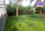 দক্ষিণ মুখী রাস্তা ১৫ ফিট, ৪ শতক দুইটি এবং ৪.৫ প্লট বিক্রয় হবে
