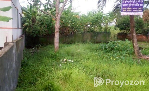 দক্ষিণ মুখী রাস্তা ১৫ ফিট, ৪ শতক দুইটি এবং ৪.৫ প্লট বিক্রয় হবে