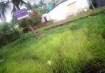 দক্ষিণ মুখী রাস্তা ১৫ ফিট, ৪ শতক দুইটি এবং ৪.৫ প্লট বিক্রয় হবে