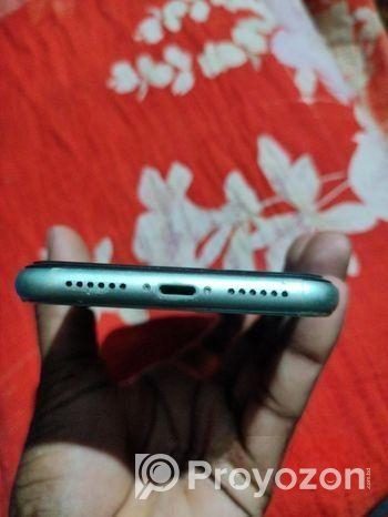 Apple iPhone 11 (Used)