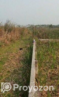 ১০ শত ডুমুরিয়া, বিল পাবলা, বাইপাস সংলগ্ন অপজিট ।