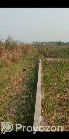 ১০ শত ডুমুরিয়া, বিল পাবলা, বাইপাস সংলগ্ন অপজিট ।
