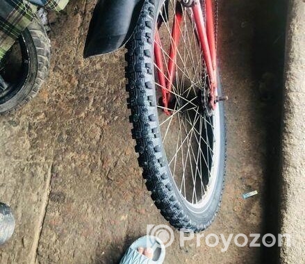 দুরন্ত সাইকেল