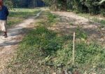Land sell