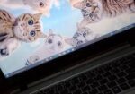 Acer I5 8gen New Nvme M.2 Ram Cular Fan Keyboard Buttery Problem