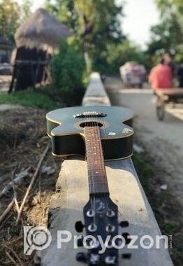 Signature গিটার for sell