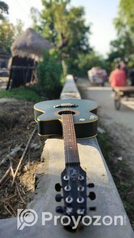 Signature গিটার for sell