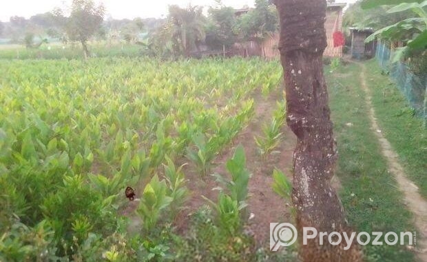 জমি বিক্রয় হবে
