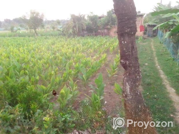 জমি বিক্রয় হবে