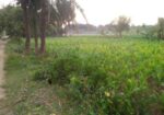 জমি বিক্রয় হবে