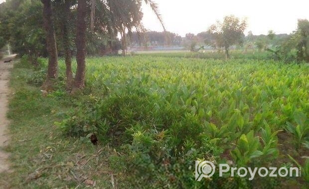 জমি বিক্রয় হবে