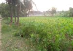 জমি বিক্রয় হবে