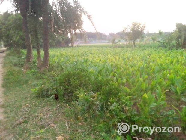 জমি বিক্রয় হবে