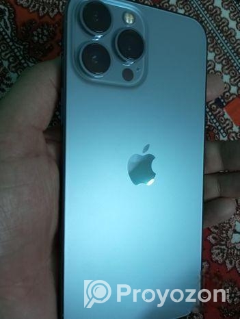 Apple iPhone 13 Pro Max . (Used)