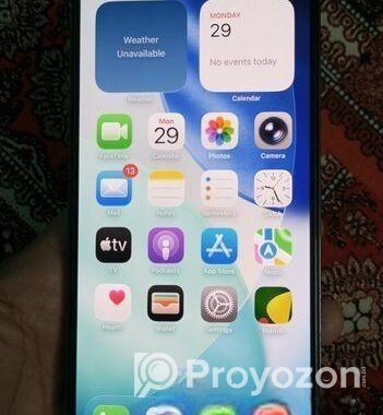 Apple iPhone 13 Pro Max . (Used)