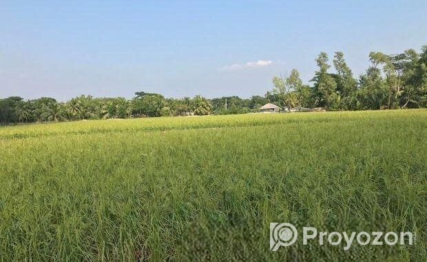 ঘেরের জমি