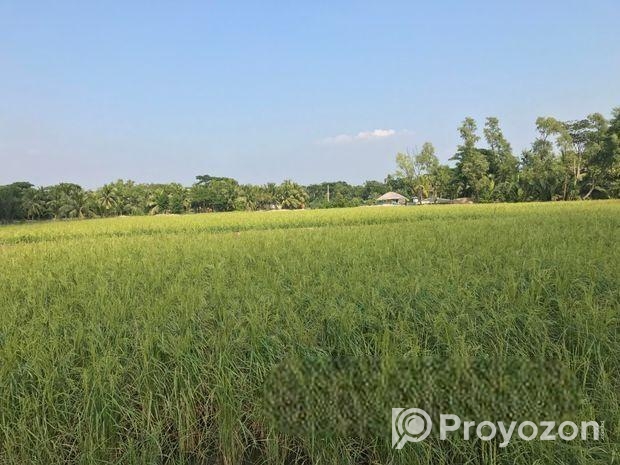 ঘেরের জমি