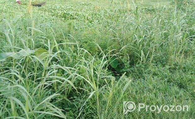 কৃষি জমি বিক্রয়