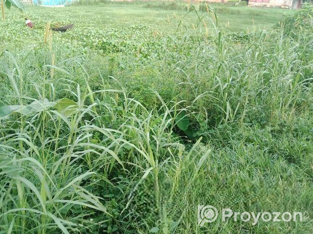 কৃষি জমি বিক্রয়