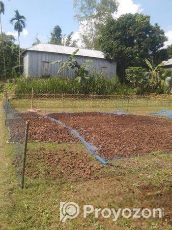 ১৬ শতাংশ জমি আর্জেন্ট বিক্রি হবে।