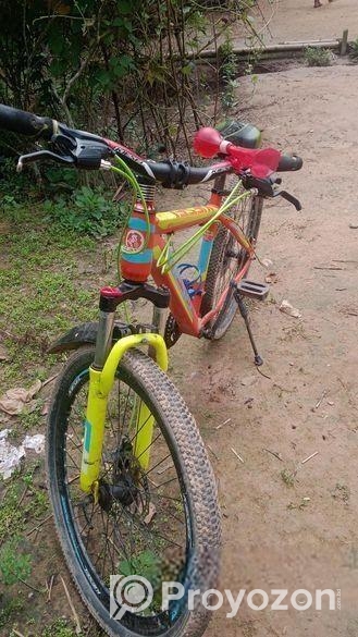 Bicycle for sale