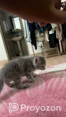 high-quality part mixed